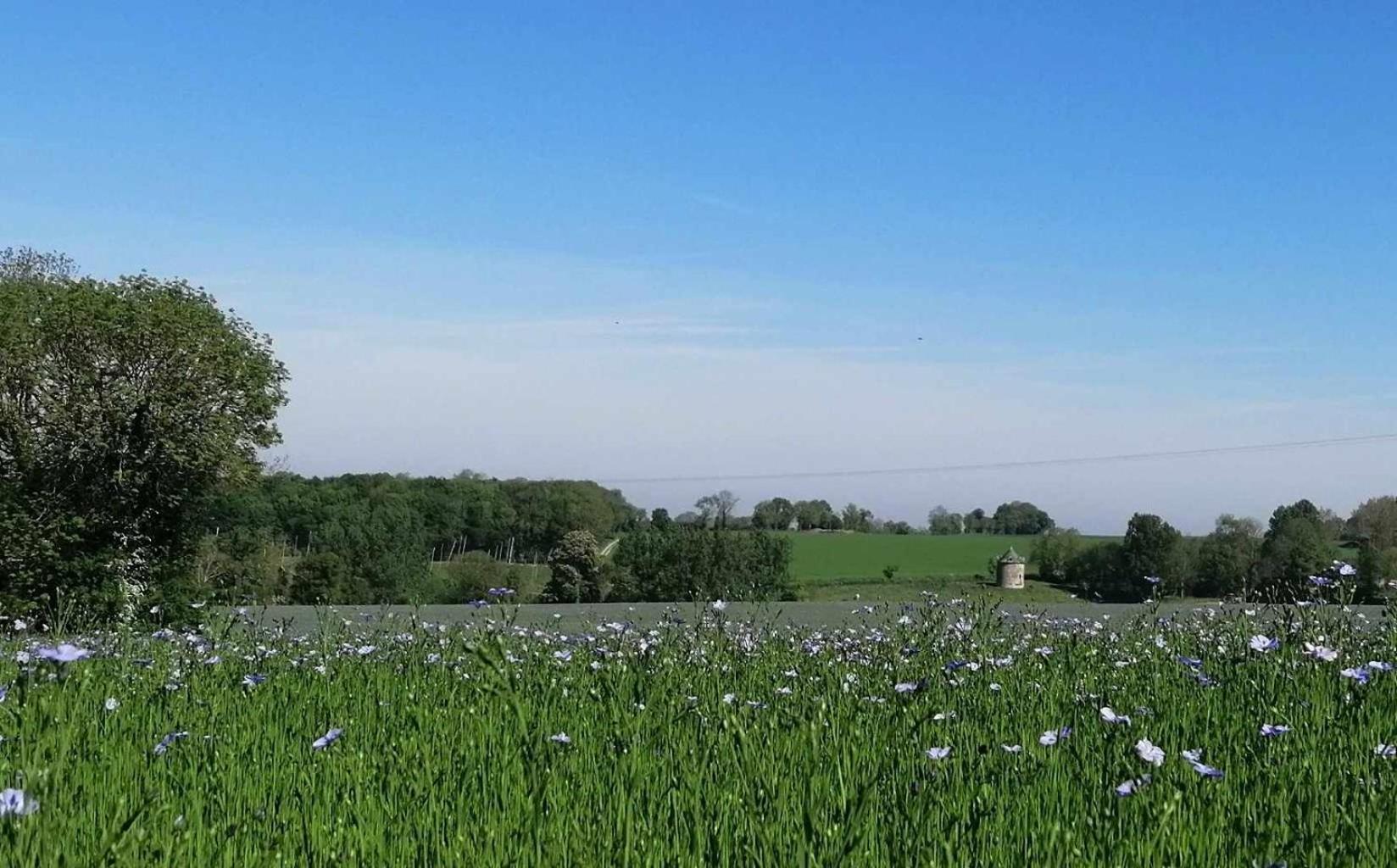 La Vieille Ferme Villa Donnay Esterno foto