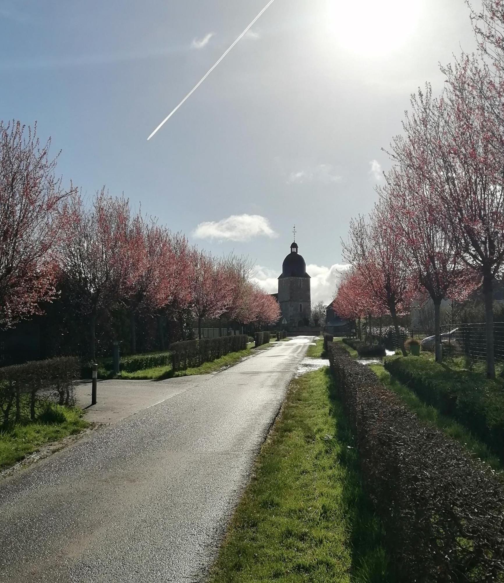 La Vieille Ferme Villa Donnay Esterno foto